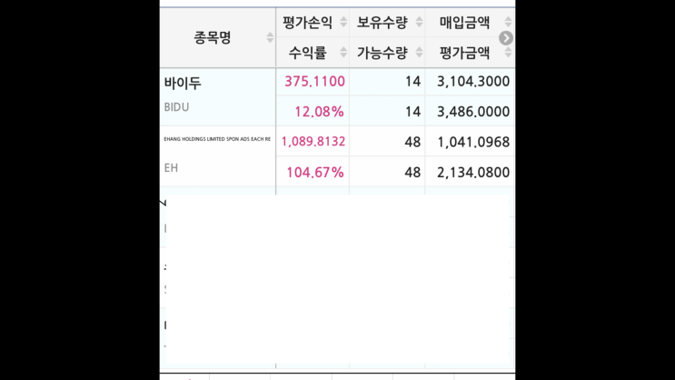  인생 첫 2루타 테슬라? 엔비디아도 아니었다 (드론 주식)