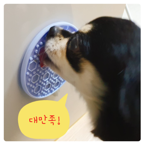  강아지 양치 고민 끝! 냥품멍품 멍멍 혀클리너 & 덴탈 짜요
