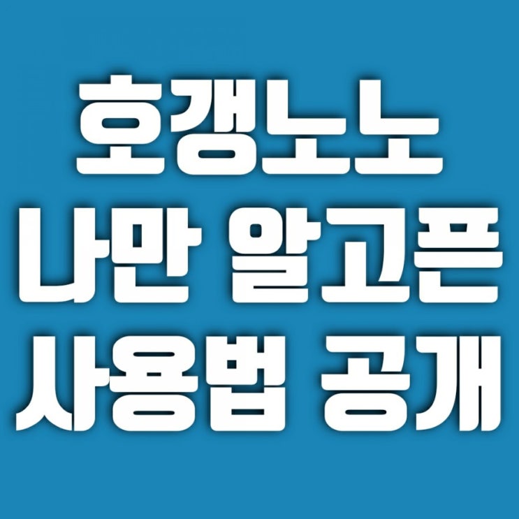 호갱노노 나만 알고픈 사용법 공개 (매물 및 대장 찾기, 손품 꿀팁 등)