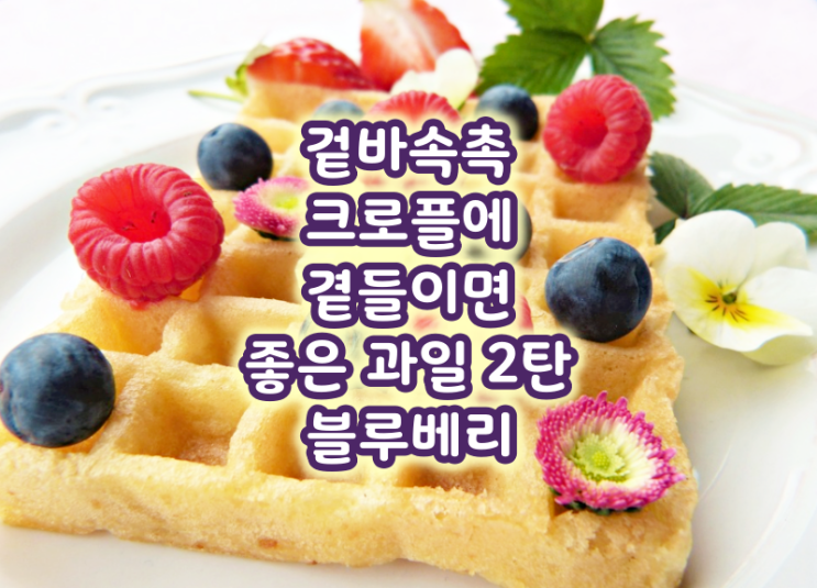  겉바속촉 크로플에 곁들이면 좋은 과일 2탄 블루베리