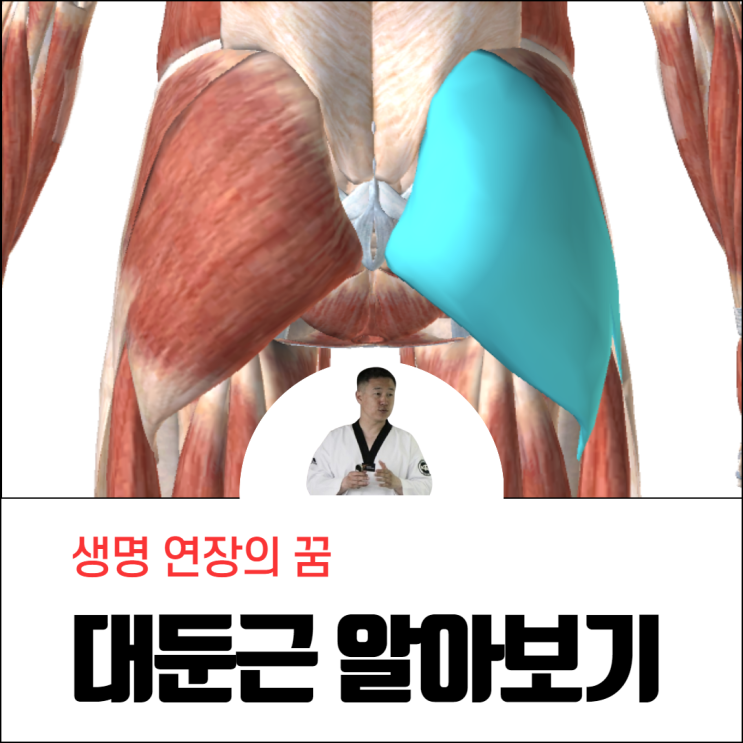  대둔근 운동 통증 스트레칭 엉덩이 근육 두 번째 이야기