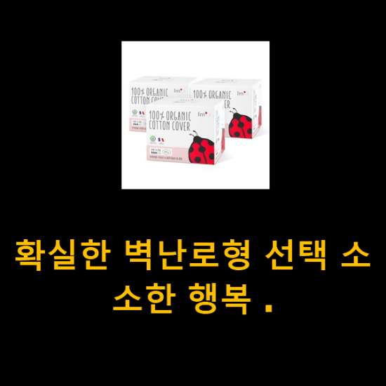 확실한 벽난로형 선택 소소한 행복 . 확실한 벽난로형 선택 소소한 행복 .