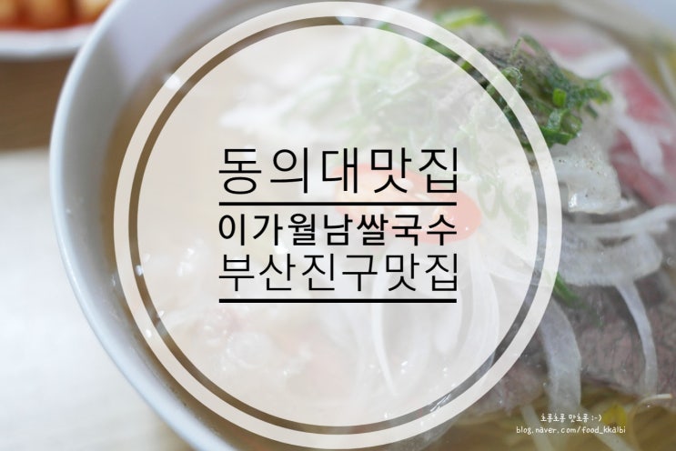 부산진구 가야동 동의대맛집 이가월남쌀국수