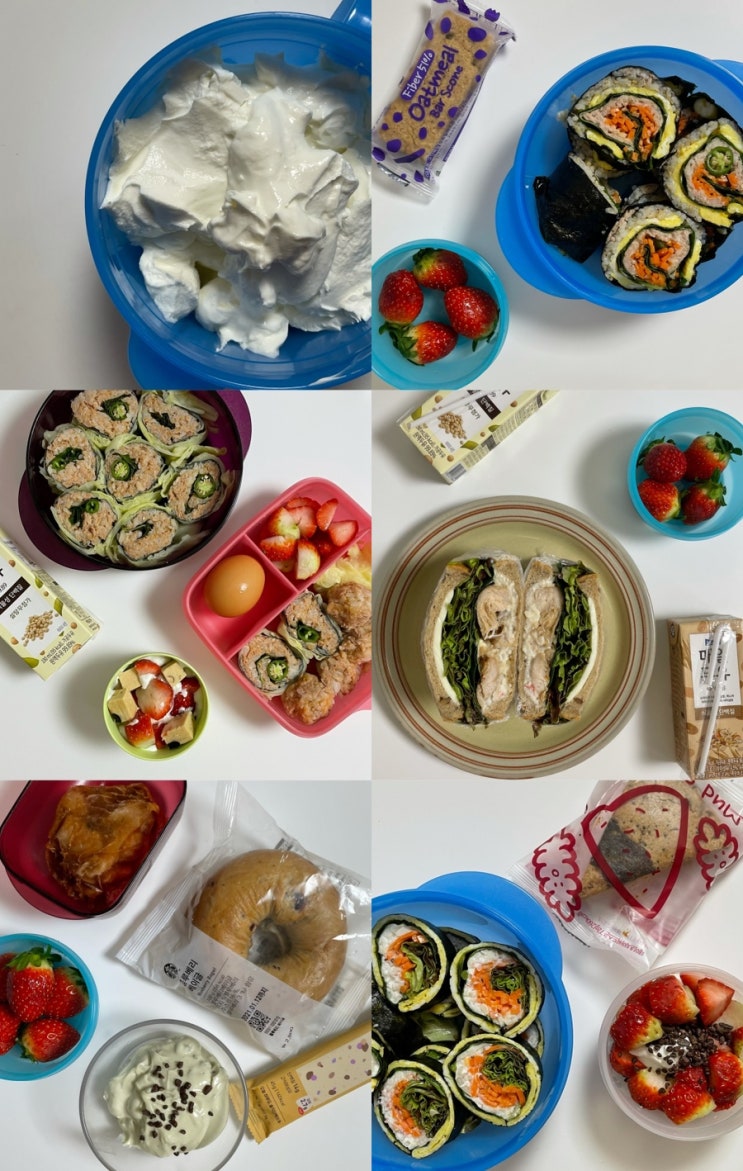  일상 그리고 : 맛있는 5일 다이어트 도시락 만들기