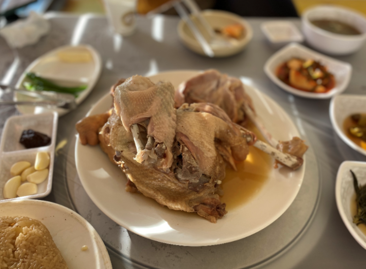  쀼로그 ep.16 제천 황기 닭백숙 맛집 동원가든