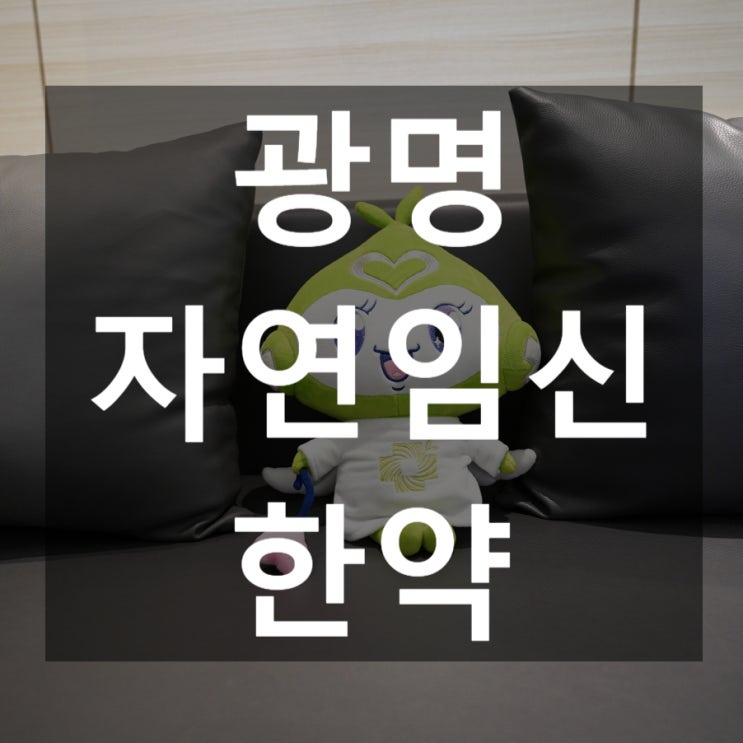 광명자연임신한약 성공을 위한 준비단계