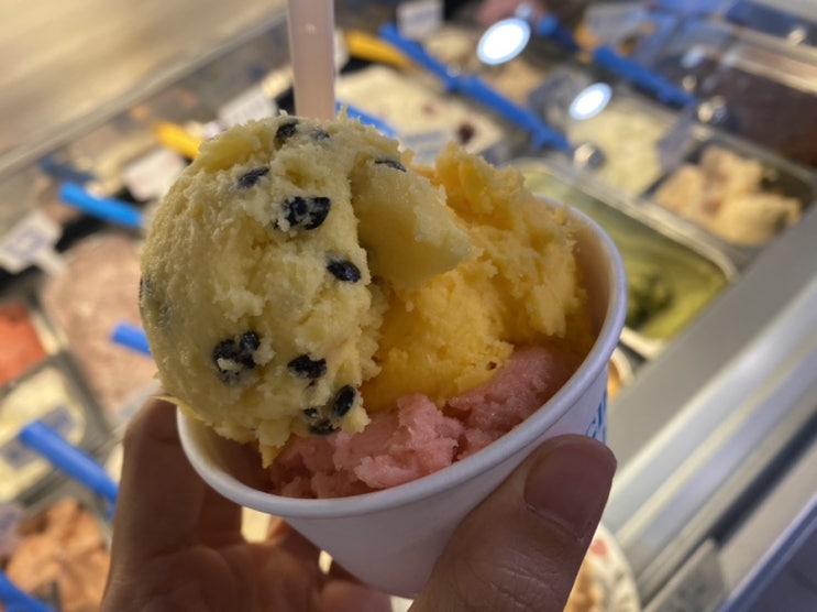 채식일기, 오늘 먹은 맛있는 것들 채식일기, 오늘 먹은 맛있는 것들