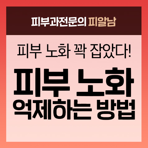 [피부노화]피부 노화 억제하는 법