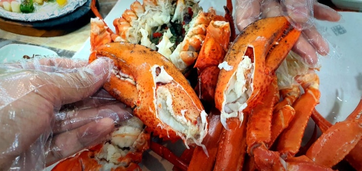  대구 월성동 맛집, 신기동 대게나라(홍게, 랍스타, 대게, 킹크랩)