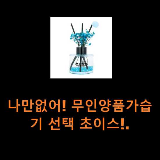 나만없어! 무인양품가습기 선택 초이스!. 나만없어! 무인양품가습기 선택 초이스!.