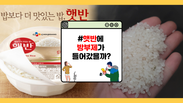  [자취초년생] 햇반은 방부제 덩어리!? (feat. 환경호르몬)
