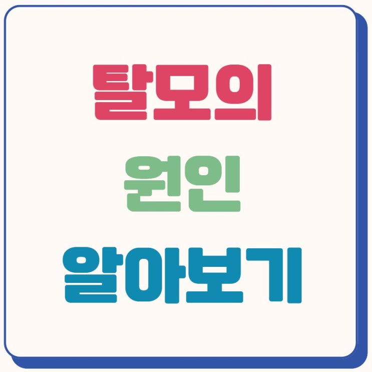  탈모 원인 알아보기!