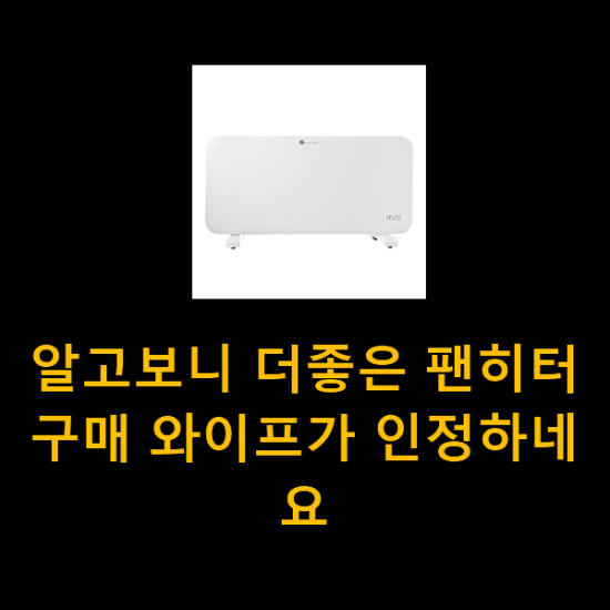 알고보니 더좋은 팬히터 구매 와이프가 인정하네요 알고보니 더좋은 팬히터 구매 와이프가 인정하네요