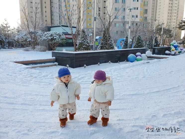  [+534] 처음 눈을 밟아본 너희들