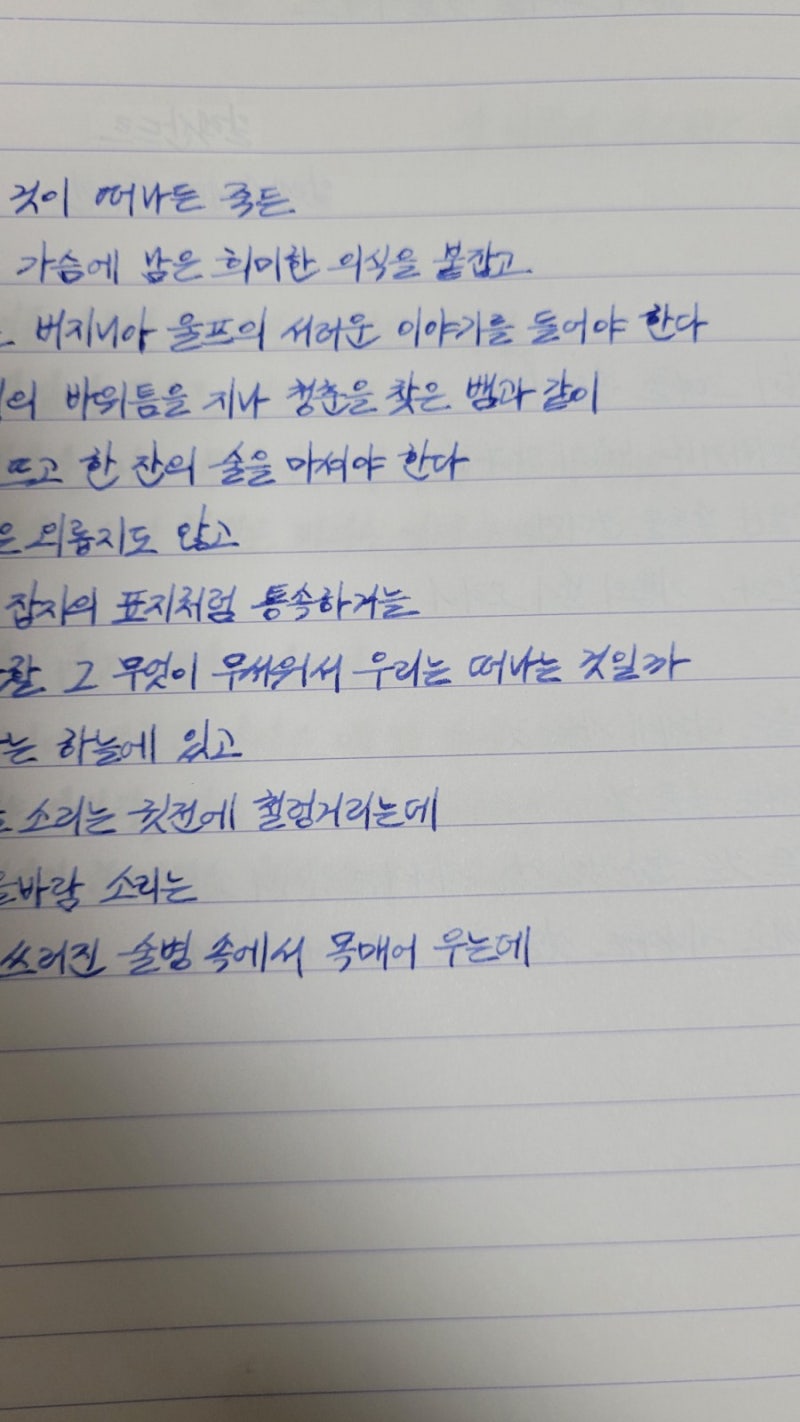 만년필 이야기 -스테들러 TRX/오로라 블랙&블루, 그라폰파버카스텔 딥씨그린 : 네이버 블로그