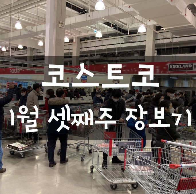  코스트코 1월 셋째주 장보기