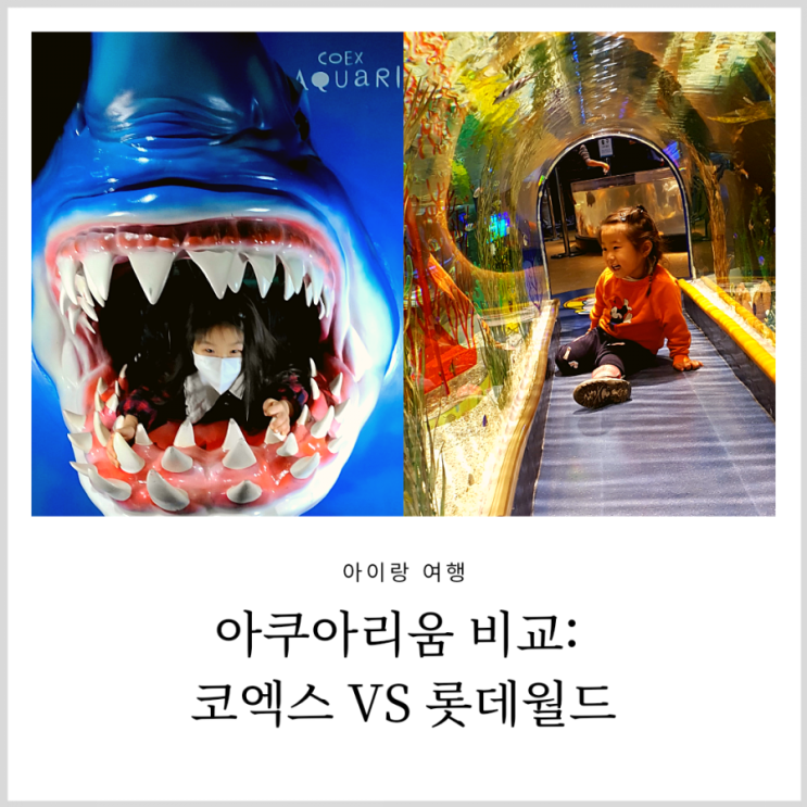 코엑스 아쿠아리움 VS 잠실 롯데월드 수족관 (연간회원권으로 수차례 방문후 비교, 할인팁)