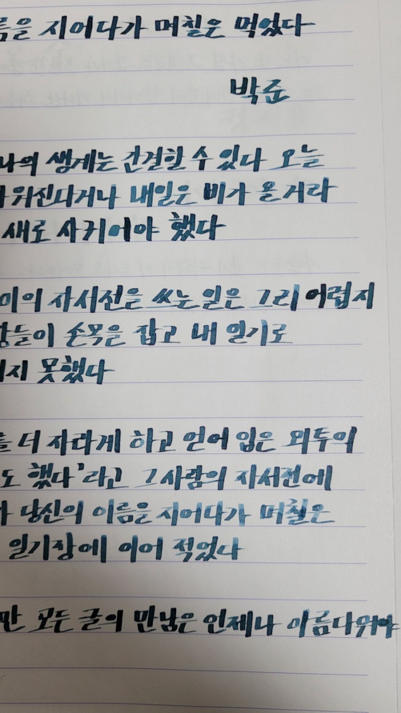 만년필 이야기 -스테들러 TRX/오로라 블랙&블루, 그라폰파버카스텔 딥씨그린 : 네이버 블로그