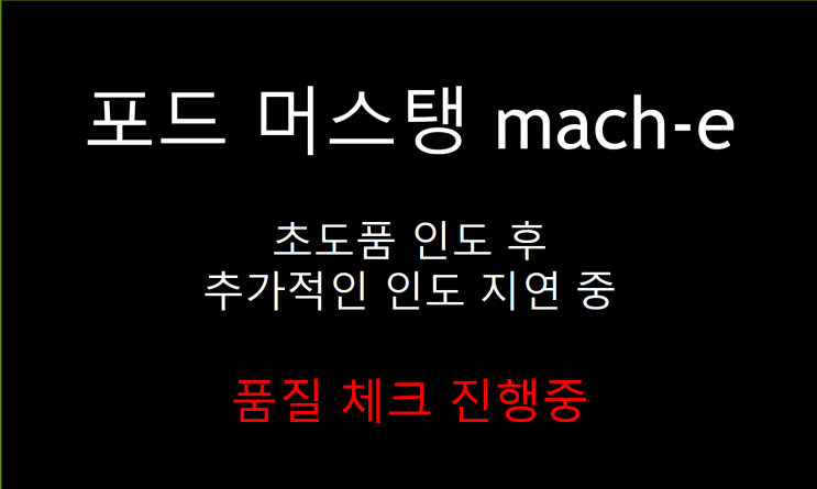  포드 머스탱 마하-e 고객인도 지연 (feat. 추가 품질 확인)