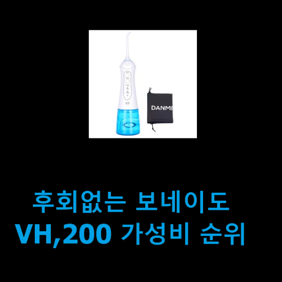 후회없는 보네이도VH,200 가성비 순위 후회없는 보네이도VH,200 가성비 순위