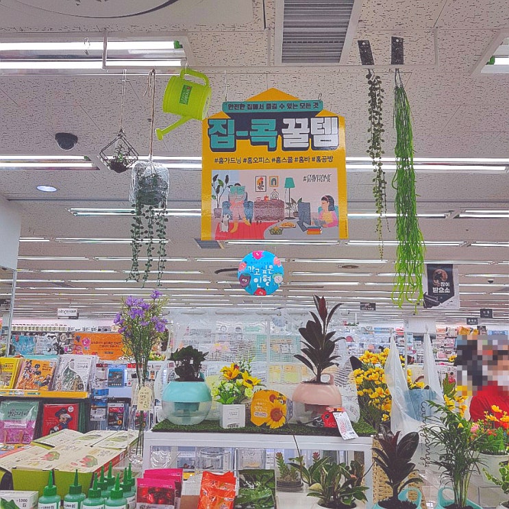  수원 정자점 다이소 집콕 꿀 템으로 지루하지 않게 보내세요. 다이소 매장 사진 촬영은 금지라고 하네요.