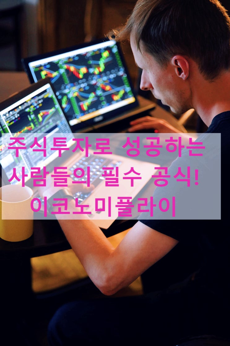  주식투자로 성공하는 사람들의 필수 공식, 주식 리딩기업매칭 서비스 이코노미플라이
