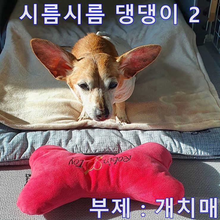 시름시름 댕댕이 2 편