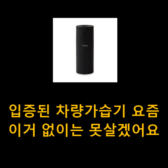 입증된 차량가습기 요즘 이거 없이는 못살겠어요 입증된 차량가습기 요즘 이거 없이는 못살겠어요