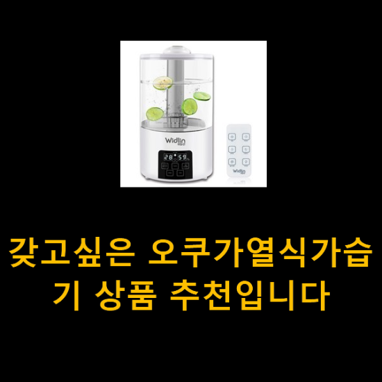 갖고싶은 오쿠가열식가습기 상품 추천입니다 갖고싶은 오쿠가열식가습기 상품 추천입니다