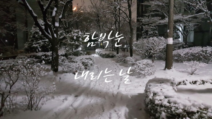  함박눈 내리는 날 이쁜 눈꽃들 눈 내리는 날의 일상