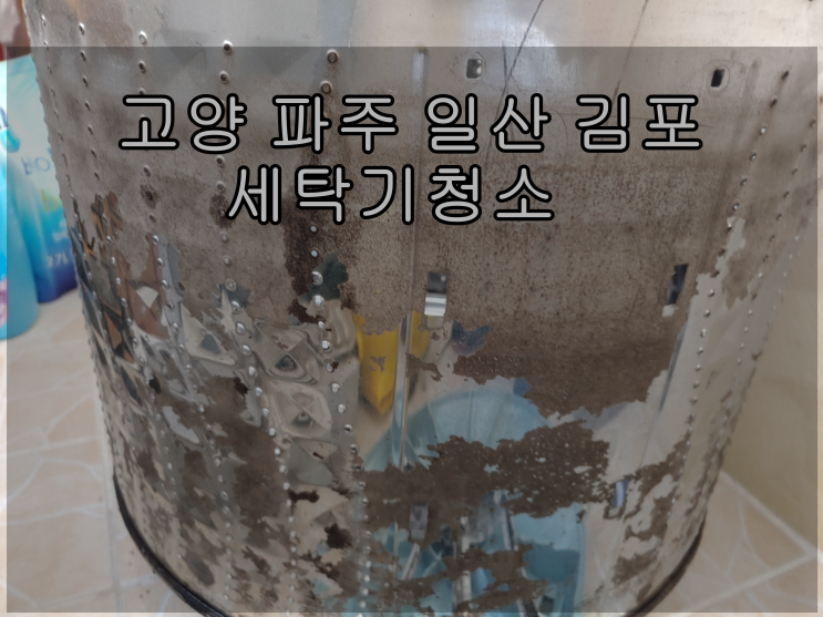  고양 파주 일산 김포 통돌이 세탁기청소