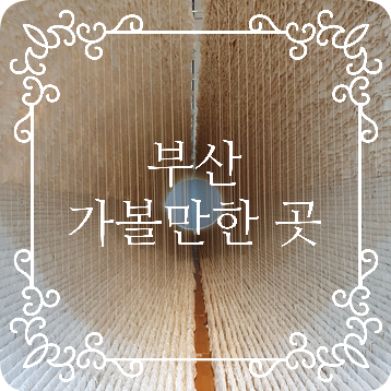  [부산 가볼 만한 곳] 뮤지엄 다 수퍼 네이처, 송도 해상 케이블카
