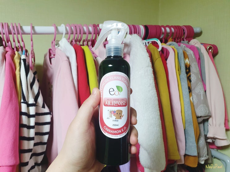  옷장곰팡이제거 겨울철 옷냄새 관리 천연 피톤치드 일랑일랑 스프레이