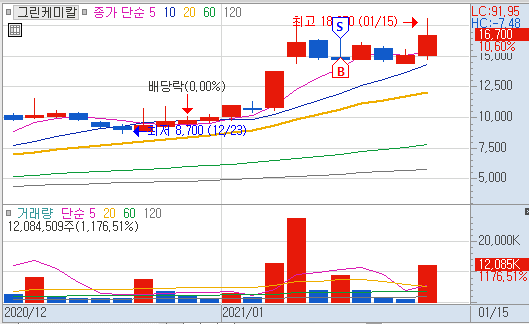  81거래일 무손절 검색식 매매일지 (100% 승률, 그린케미칼 디아이씨 일성건설 엔케이 뉴인텍 SH에너지화학)
