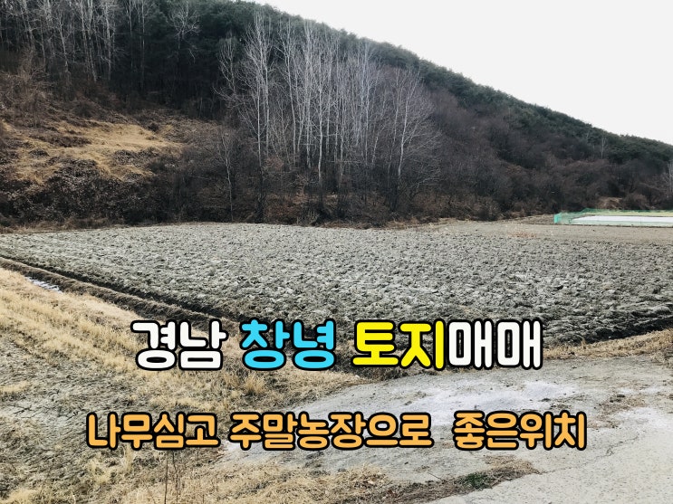  창녕부동산(1-717) 산으로 둘로쌓인 골 나무심기 좋은 주말농장 경남토지 창녕땅1,429m2 매매 입니다
