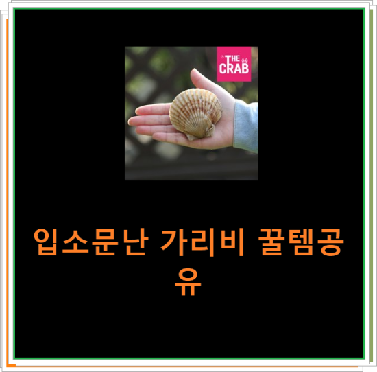 입소문난 가리비 꿀템공유 입소문난 가리비 꿀템공유