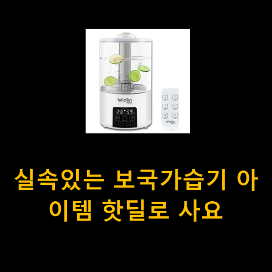 실속있는 보국가습기 아이템 핫딜로 사요 실속있는 보국가습기 아이템 핫딜로 사요