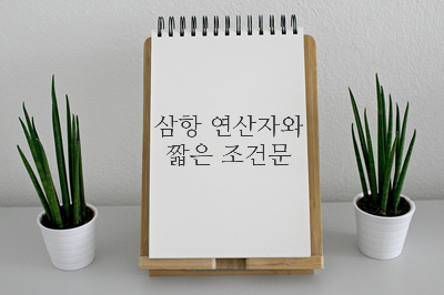  삼항 연산자와 짧은 조건문