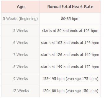 [임신 9주차] 젤리곰/10주차 심장박동/주차별 태아 심장박동수/입체초음파는 언제부터 가능한지