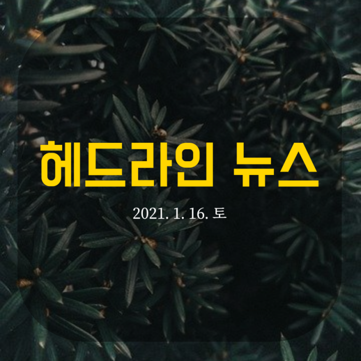  헤드라인 뉴스