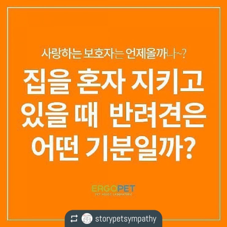  집을 혼자 지키는 반려견은 어떤 기분일까?