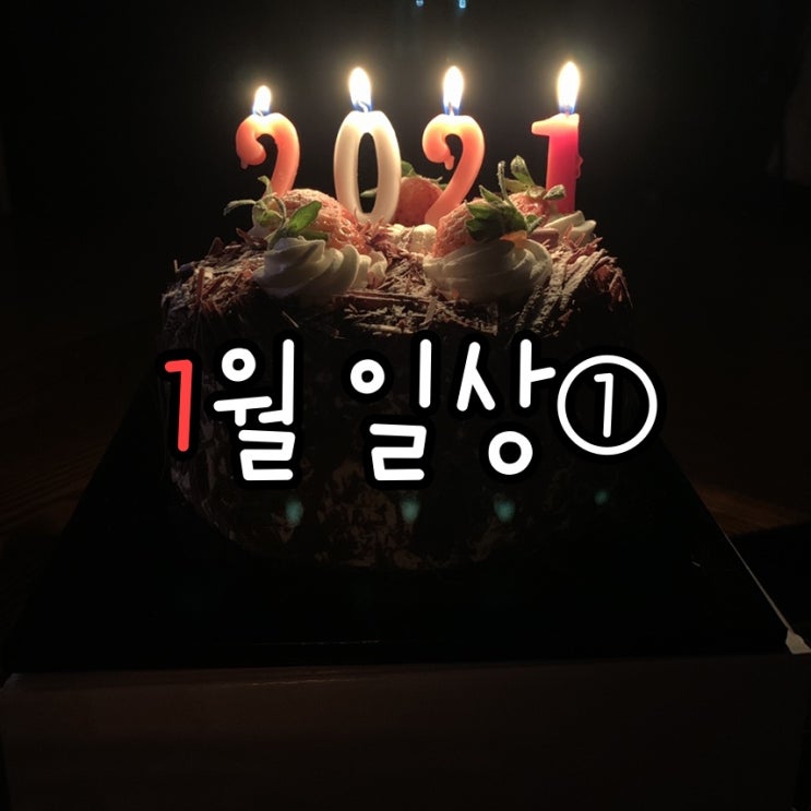  2021년 1월 일상① ღ (0101~0115)
