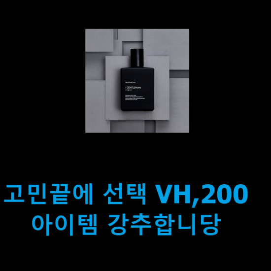 고민끝에 선택 VH,200 아이템 강추합니당