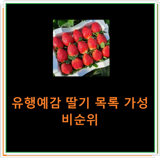 유행예감 딸기 목록 가성비순위 유행예감 딸기 목록 가성비순위