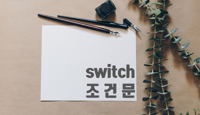  switch 조건문
