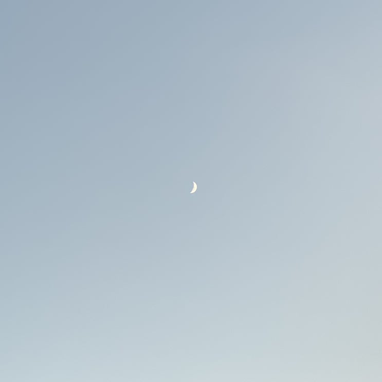  1월 셋째 주 이야기 (노브랜드 추천, 군고구마)