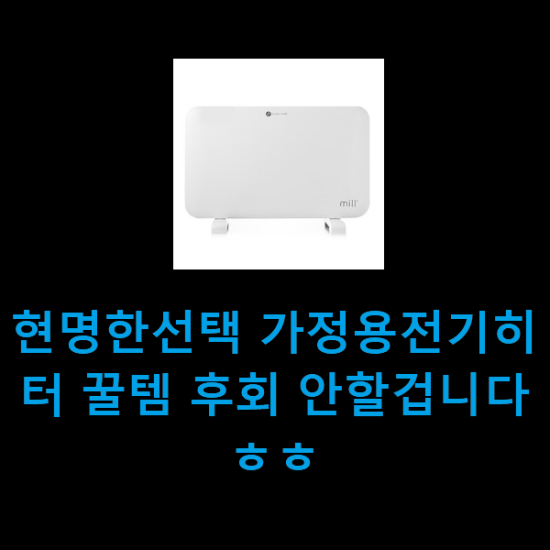 현명한선택 가정용전기히터 꿀템 후회 안할겁니다 ㅎㅎ