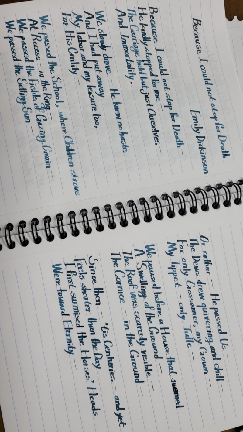 만년필 이야기 -스테들러 TRX/오로라 블랙&블루, 그라폰파버카스텔 딥씨그린 : 네이버 블로그