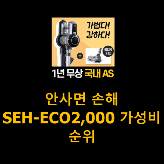 안사면 손해 SEH-ECO2,000 가성비 순위 안사면 손해 SEH-ECO2,000 가성비 순위