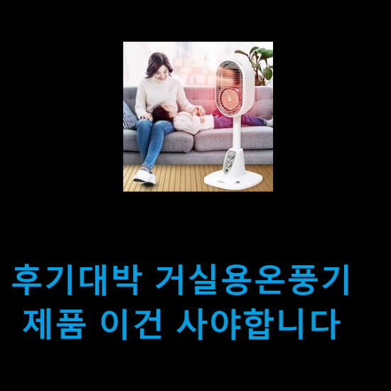 후기대박 거실용온풍기 제품 이건 사야합니다